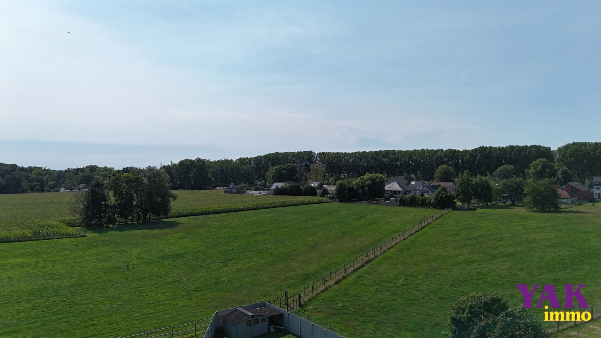 7081776_71267578.jpg